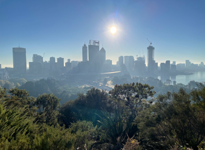 Photo of Perth skyline taken from King's Park