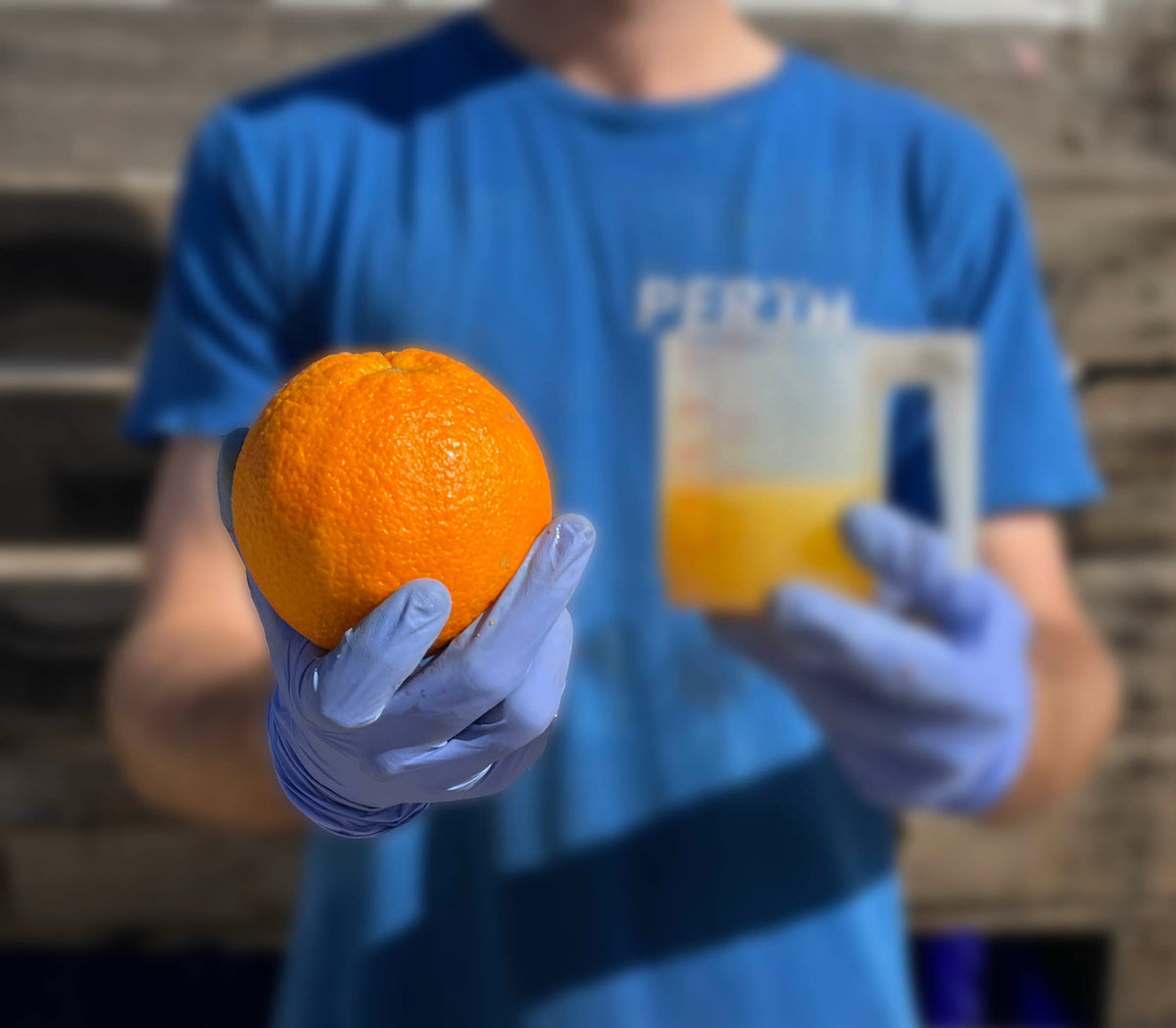 Wholesale cold pressed juice in 2 litre bottles Squished Juice